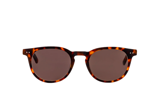 Clarke Sunglasses Readers (Brown)