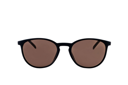 Echo Sunglasses Readers (Brown)