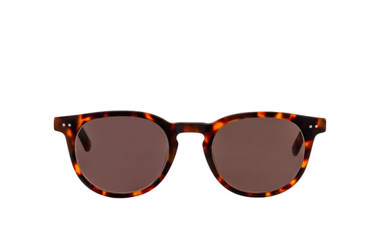 Clarke Sunglasses (Brown)